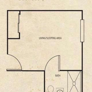 Studio apartment floor plan with a combined living and sleeping area, and an attached bathroom.