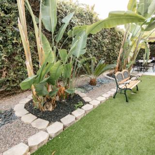 A well-maintained garden with tropical plants, a stone pathway, and a bench.