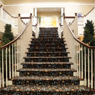 A grand, carpeted staircase with decorative side railings and plants.