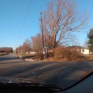 A quiet intersection surrounded by bare trees and a residential area under a clear blue sky.