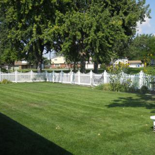 A sunny backyard with a well-maintained lawn and a white picket fence.