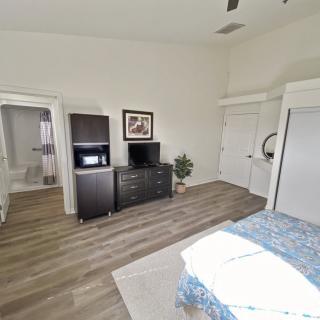 A modern and minimalist bedroom with wooden flooring, featuring essential furniture and decor.