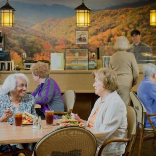 Seniors enjoying a meal and conversation in a restaurant with scenic wall art.