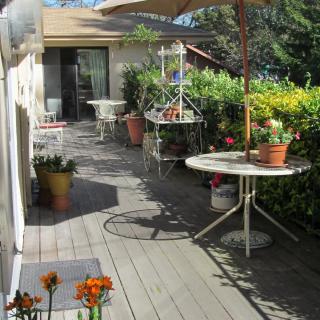 A sunny patio with outdoor furniture, potted plants, and an umbrella.