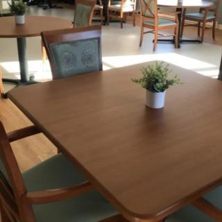 A dining area with a wooden table and chairs, featuring a small potted plant as a centerpiece.