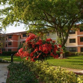 A scenic garden with vibrant flowers and a large tree in front of a residential building.