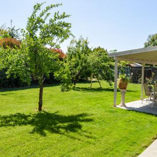 A sunny backyard garden with a well-maintained lawn, several trees, and a patio area.