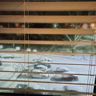 A view through blinds of a snow-covered parking lot at night.