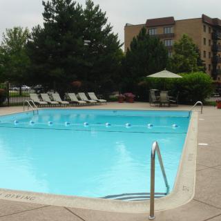 An inviting outdoor swimming pool surrounded by lounge chairs and shaded seating.