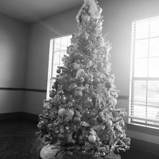 A beautifully decorated Christmas tree stands in a bright room.