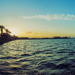 A tranquil sunset over the ocean with palm trees lining the shore.
