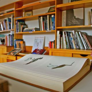 A cozy library with wooden shelves filled with books and an open book on the table.