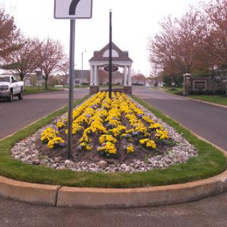 A beautifully maintained roundabout featuring vibrant yellow flowers.