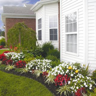 A beautifully landscaped garden with a variety of colorful flowers alongside a house.