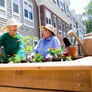 Two people enjoying gardening together in a community garden.
