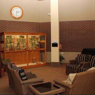 A cozy living room with comfortable seating, a clock on the wall, and a large cage with plants.