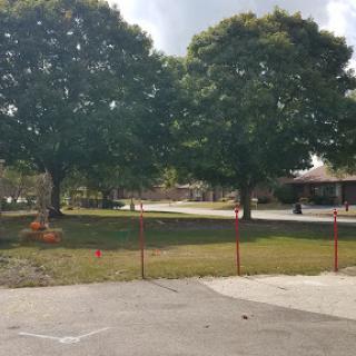 A serene view of a park featuring lush trees and a clear sky.