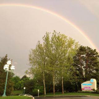 A vibrant rainbow arcs over a landscape with lush green trees and a small road.