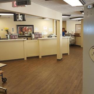 A view of the reception area in a medical facility, featuring a clean and organized environment.