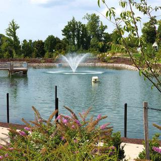 A serene pond with a central fountain surrounded by lush greenery and trees.