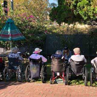 A group of elderly individuals in wheelchairs enjoy a sunny day outdoors in a garden.