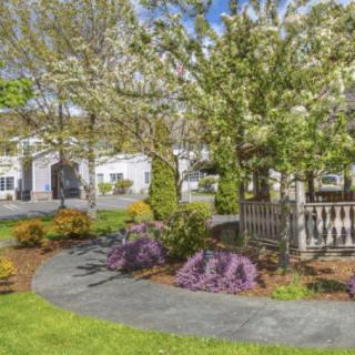 A beautifully landscaped garden featuring blooming trees and colorful flowers.