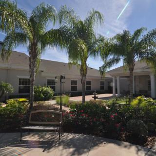 A sunny garden area with palm trees and a building in the background.