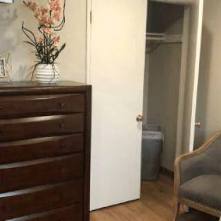A cozy bedroom setup featuring a dresser, a vase with flowers, and an open closet.