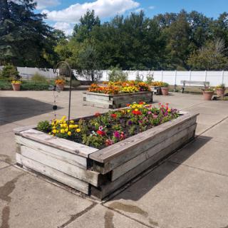 A vibrant flowerbed in a raised planter, adding color to the outdoor space.