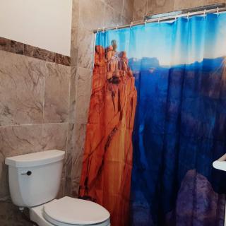 A bathroom featuring a nature-themed shower curtain and tiled walls.