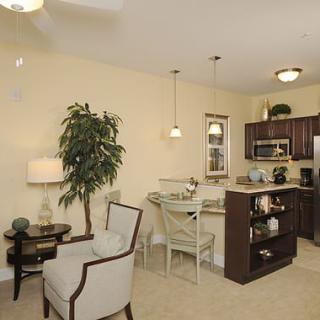 A modern open-concept living and kitchen area featuring cozy furniture and stylish decor.