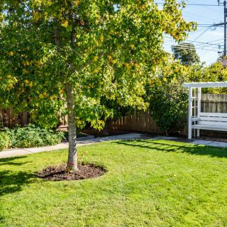 A peaceful backyard garden with a tree, green lawn, and a white swing.