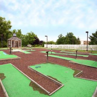 An outdoor mini-golf course with green artificial grass and a small gazebo in the background.
