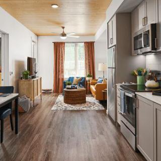 A modern open-concept living space with a bright kitchen and cozy living area.