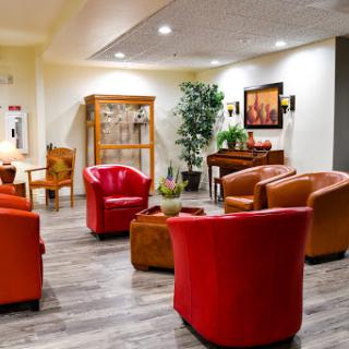 A cozy lounge area featuring comfortable seating and decorative elements.