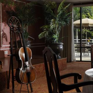 A cozy music room with a cello, lush plants, and a view of the patio.