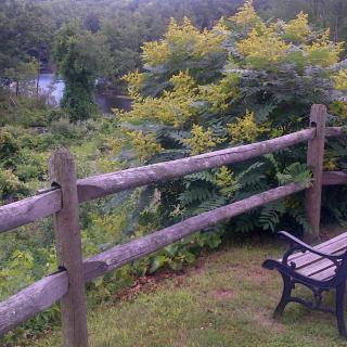 A scenic outdoor setting featuring a wooden fence, lush bushes, and a park bench.