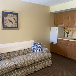 A cozy living area with a patterned sofa, cushions, and a small kitchenette featuring wooden cabinets and a fridge. A piece of artwork hangs on the wall above the sofa.