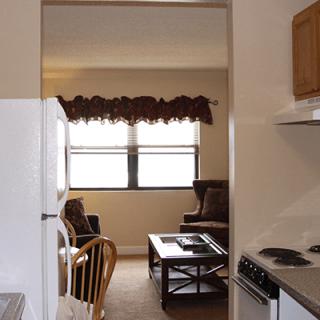 View from the kitchen into a cozy living room with comfortable seating and natural light.