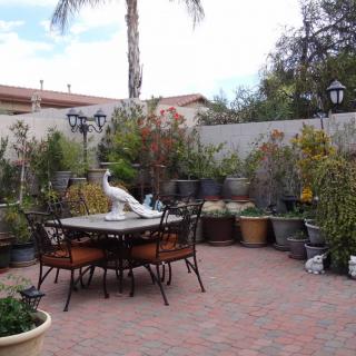 A peaceful patio garden with outdoor furniture and potted plants.