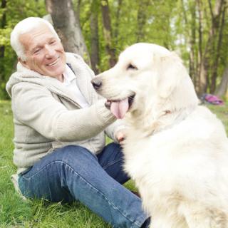 An elderly man sitting in a park, happily petting his dog.