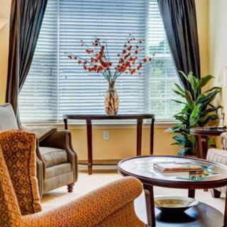 A cozy living room with a comfortable armchair, coffee table, and decorative plants near a large window.