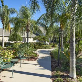 A sunny pathway lined with palm trees and benches in a landscaped garden.