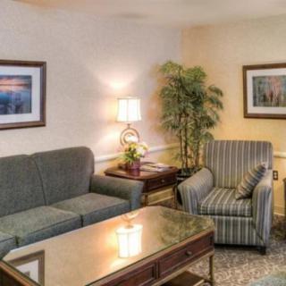A cozy living room with a sofa, armchair, and coffee table, decorated with paintings and an indoor plant.