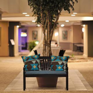 A stylish indoor bench adorned with vibrant decorative pillows, complemented by a tall potted plant.