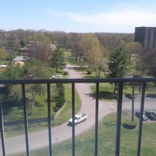 A serene view from a balcony overlooking a park with trees and winding roads.