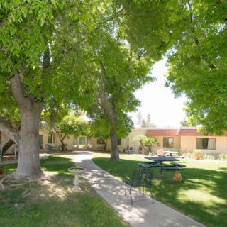 A peaceful outdoor scene with a pathway, surrounded by lush trees and buildings.