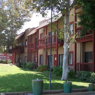 An exterior view of a multi-story apartment building with balconies and surrounding trees.