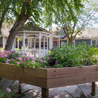 A serene garden with a raised flower bed and a gazebo in the background.