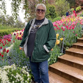 A man enjoying a stroll through a vibrant flower garden filled with colorful tulips.